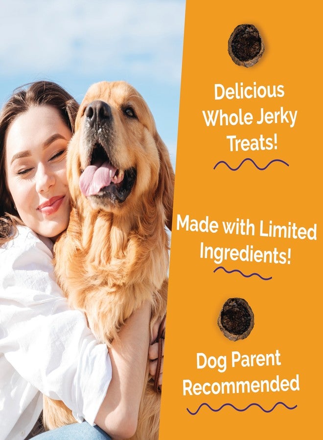Fruitables Whole Jerky Bites, Healthy Dog Treats, Puppy Essentials, Jerky Dog Treats, Made in the USA, No Artificial Ingredients, Turkey & Sweet Potato Flavor, 5oz - Image 2